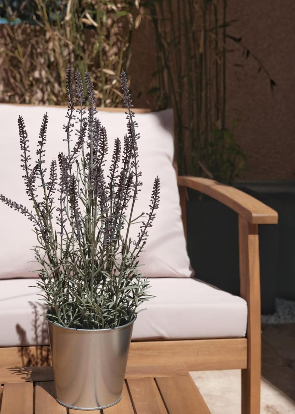 Studio Renove Avec Belle Terrasse エクス＝アン＝プロヴァンス エクステリア 写真